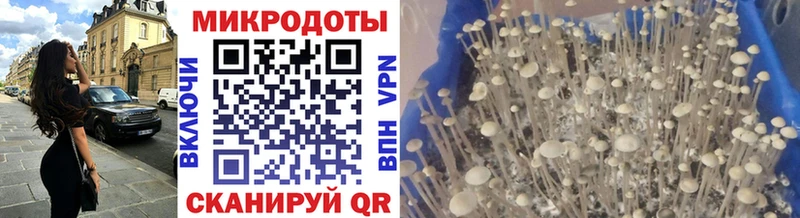 Купить Кызыл Псилоцибиновые грибы мухоморы